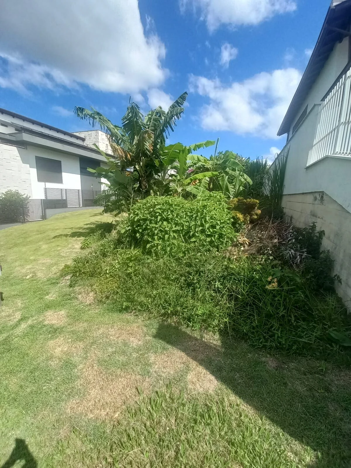 Terreno em Cidade Universitária Pedra Branca, Palhoça