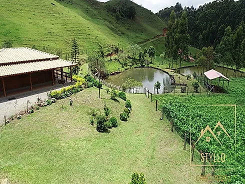 Sítio em Zona Rural, Angelina