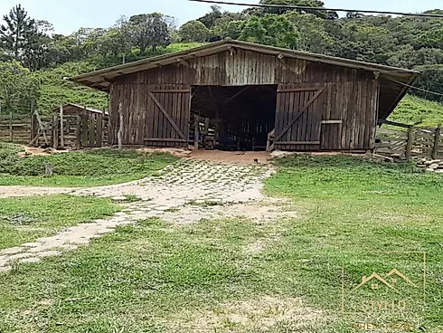 Sítio em Zona Rural, Angelina
