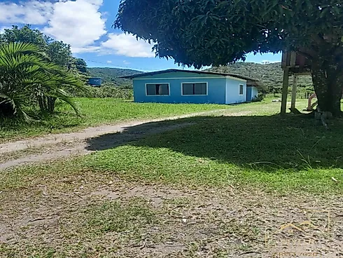 Ratones, Florianópolis