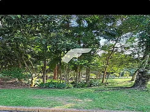 Saguaçu, Joinville
