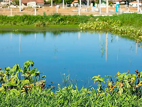 Terreno em Humaitá De Cima, Tubarão