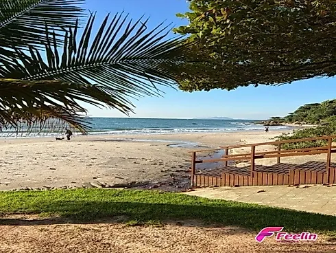 Apartamento em Canasvieiras, Florianópolis