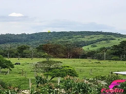 Casa em Vargem Grande, Florianópolis