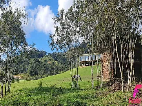 Casa, Alfredo Wagner