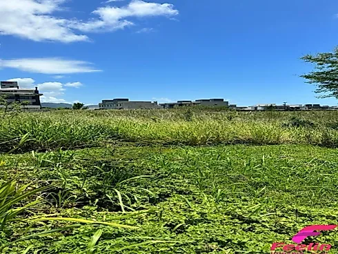 Terreno em Ribeirão Da Ilha, Florianópolis