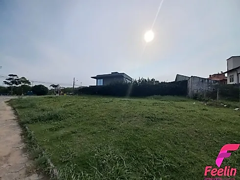 Terreno em Campeche, Florianópolis