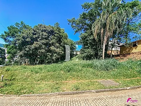 Terreno em Córrego Grande, Florianópolis