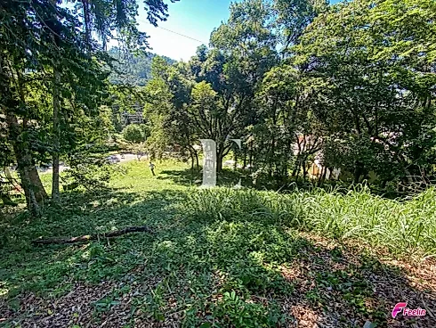 Terreno em Córrego Grande, Florianópolis