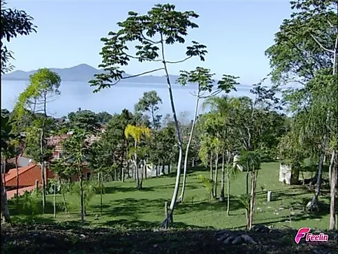 Terreno em Ponta De Baixo, São José