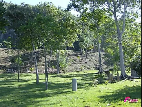 Terreno em Ponta De Baixo, São José