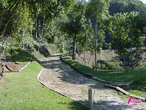 Terreno em Ponta De Baixo, São José