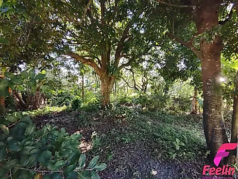 Terreno em Rio Tavares, Florianópolis
