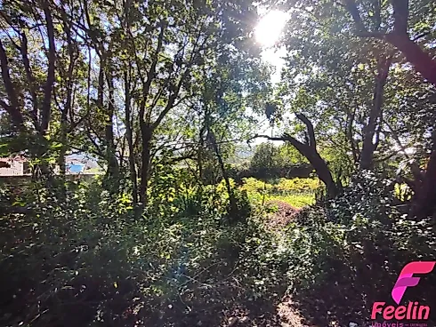 Terreno em Rio Tavares, Florianópolis