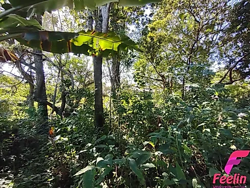 Terreno em Rio Tavares, Florianópolis