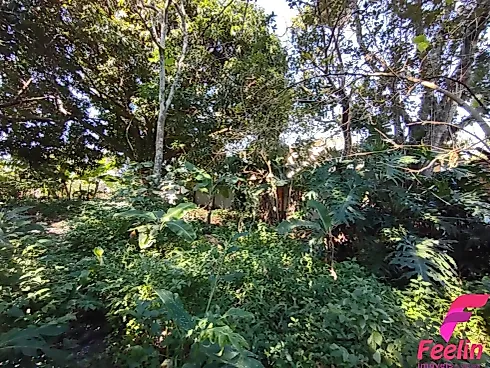 Terreno em Rio Tavares, Florianópolis