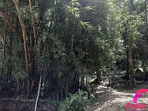Armação, Florianópolis
