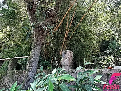 Terreno em Armação, Florianópolis