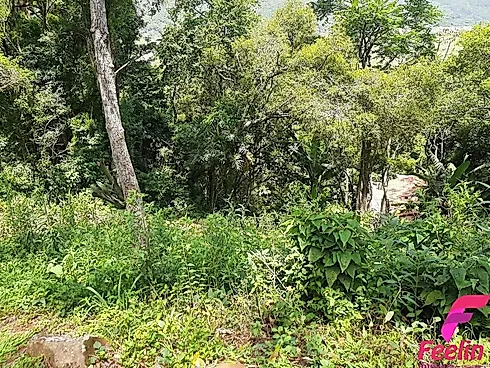 Terreno em Armação, Florianópolis