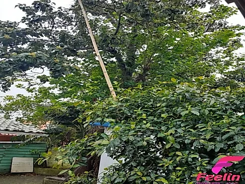 Terreno em Morro Das Pedras, Florianópolis
