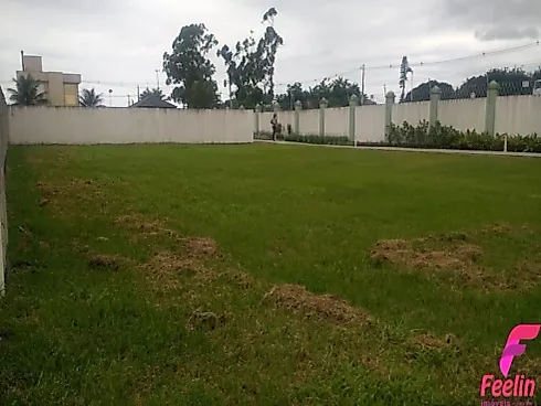 Terreno em Campeche, Florianópolis