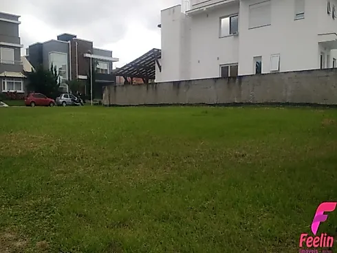 Terreno em Campeche, Florianópolis