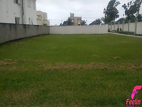 Terreno em Campeche, Florianópolis