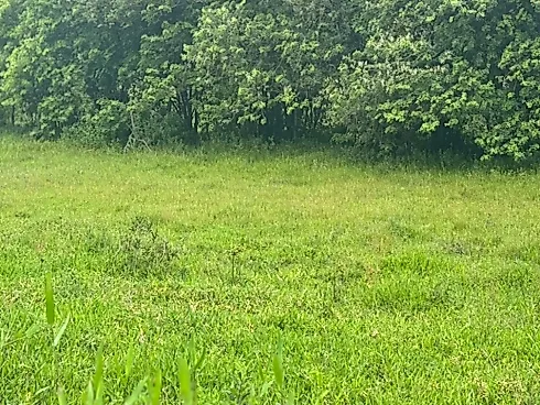 Terreno em Ribeirão Da Ilha, Florianópolis