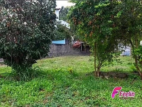 Trindade, Florianópolis