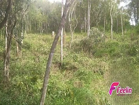 Terreno em João Paulo, Florianópolis