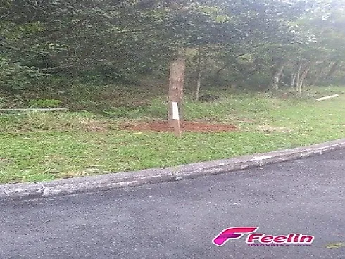 Terreno em João Paulo, Florianópolis