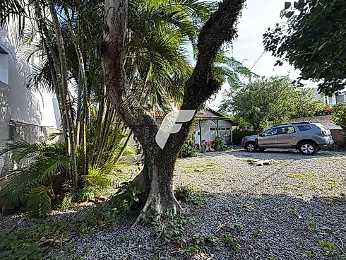 Terreno em Pântano Do Sul, Florianópolis