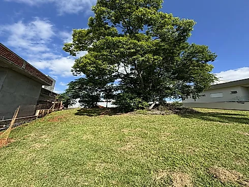 Primeira Linha, Criciúma