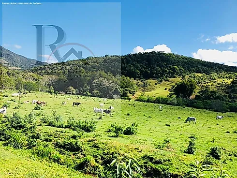 Bom Retiro, Paulo Lopes