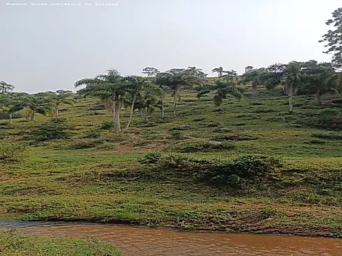 Terreno em Penha, Garopaba