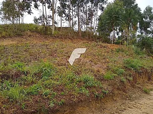 Pagará (colônia Santa Luzia), Santo Amaro Da Imperatriz