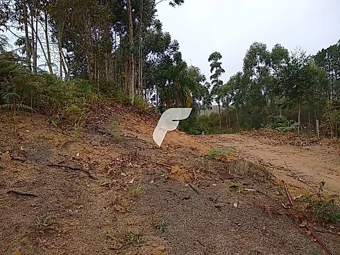 Terreno em Pagará (colônia Santa Luzia), Santo Amaro Da Imperatriz