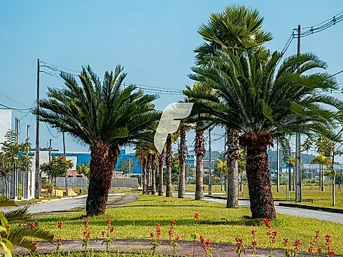 Terreno, Araquari