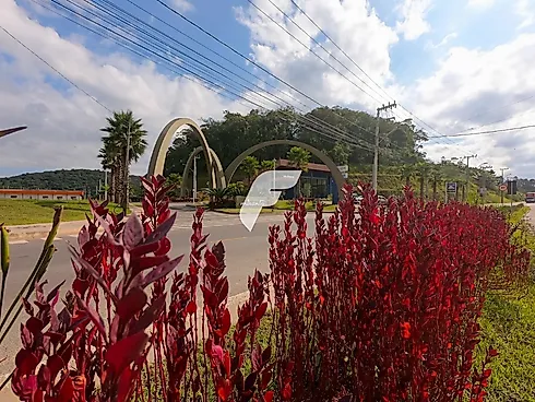Terreno, Araquari