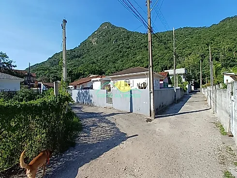 Thumbnail 28