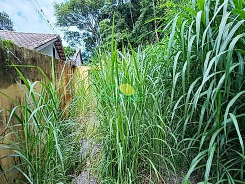 Terreno em Rio Tavares, Florianópolis