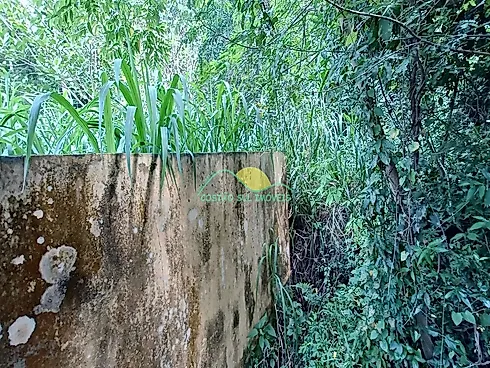 Terreno em Rio Tavares, Florianópolis