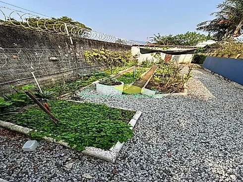 Terreno em Campeche, Florianópolis