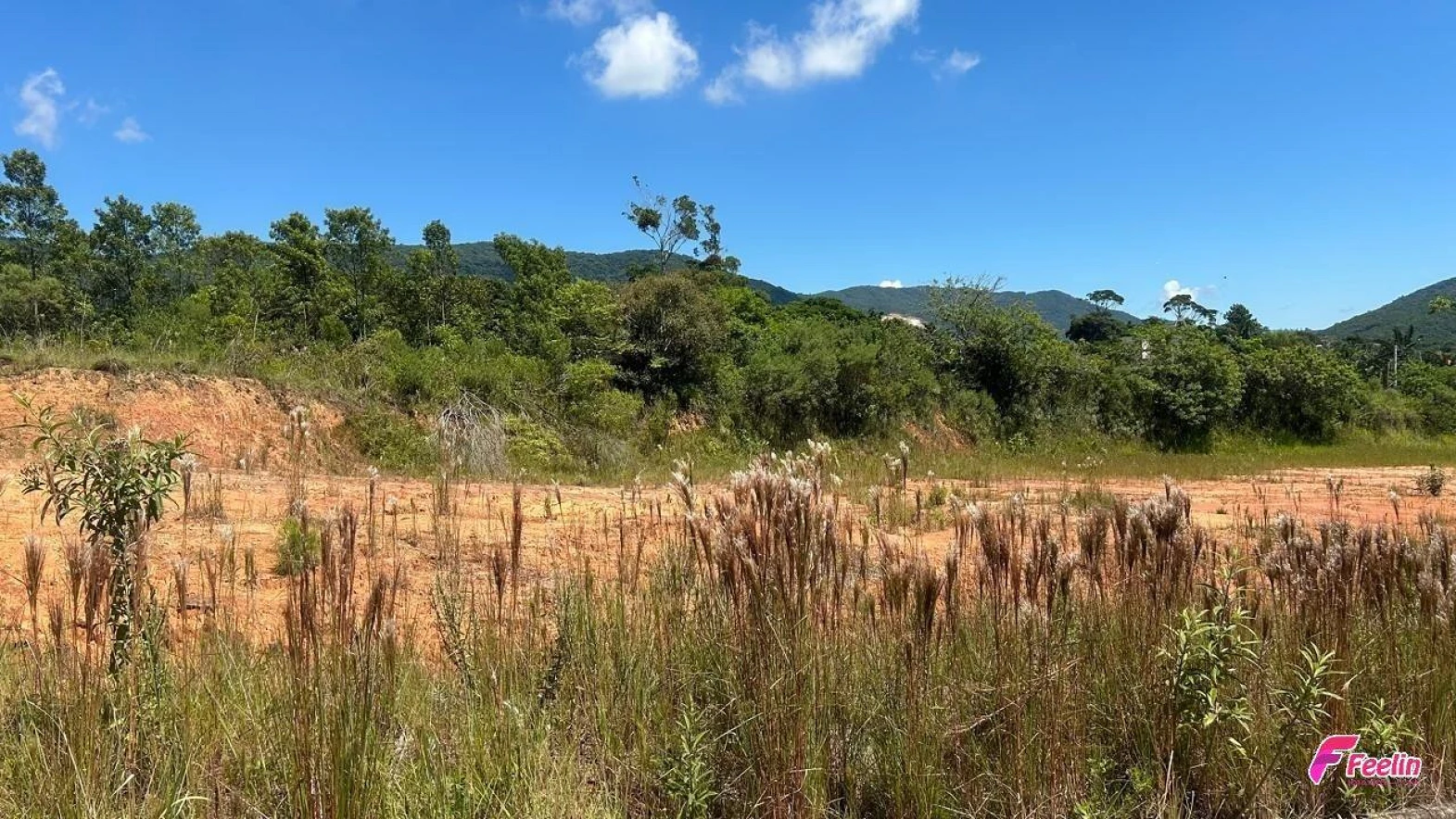 Terreno em Forquilhinha, Palhoça