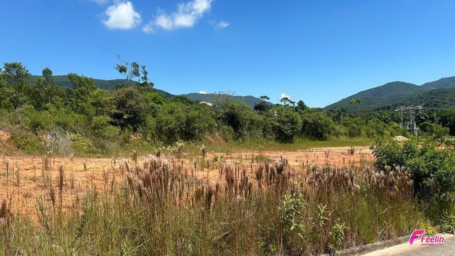 Terreno em Forquilhinha, Palhoça