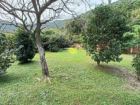 Terreno em Pântano Do Sul, Florianópolis