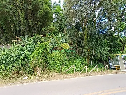 Terreno em Ribeirão Da Ilha, Florianópolis