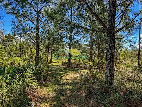 Thumbnail 20