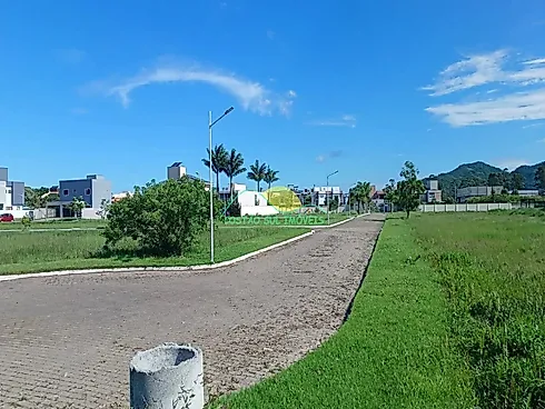 Thumbnail 20