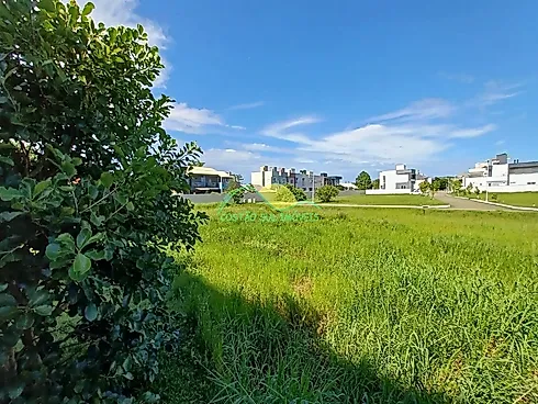 Thumbnail 25